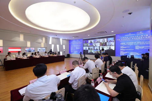 攜手云端 共贏未來 中歐經(jīng)貿(mào)與投資合作云峰會(huì)暨中國(guó)-中東歐跨境產(chǎn)業(yè)投資促進(jìn)在線推介會(huì)圓滿落幕